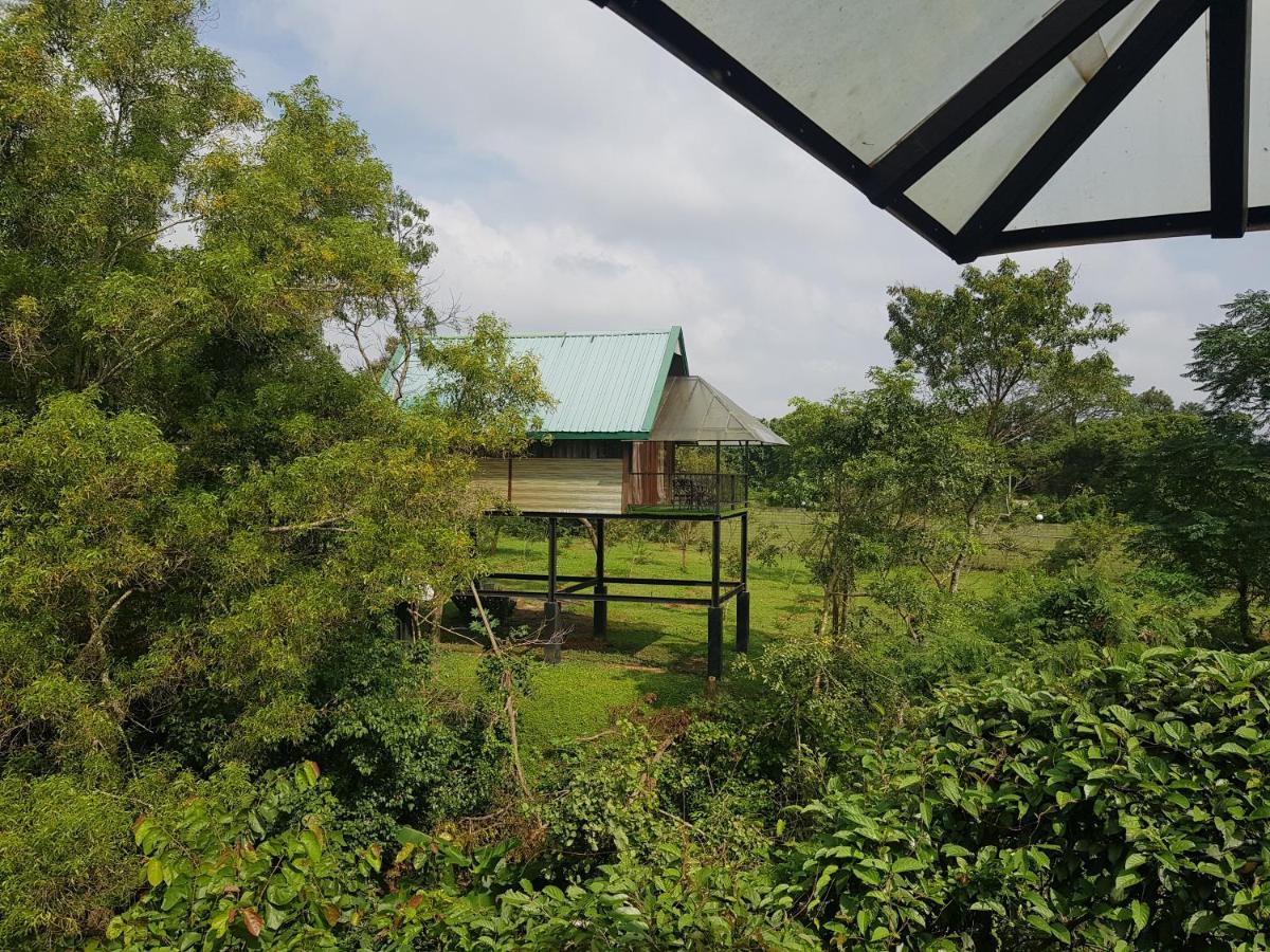 Nice Place Resort Dambulla Luaran gambar