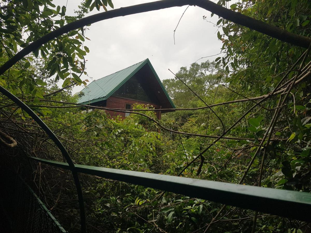 Nice Place Resort Dambulla Luaran gambar