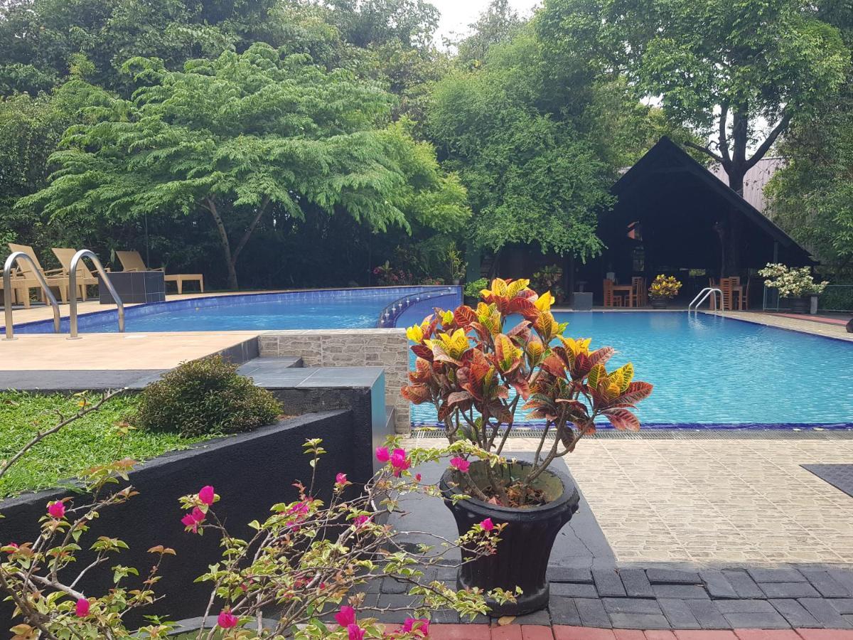 Nice Place Resort Dambulla Luaran gambar