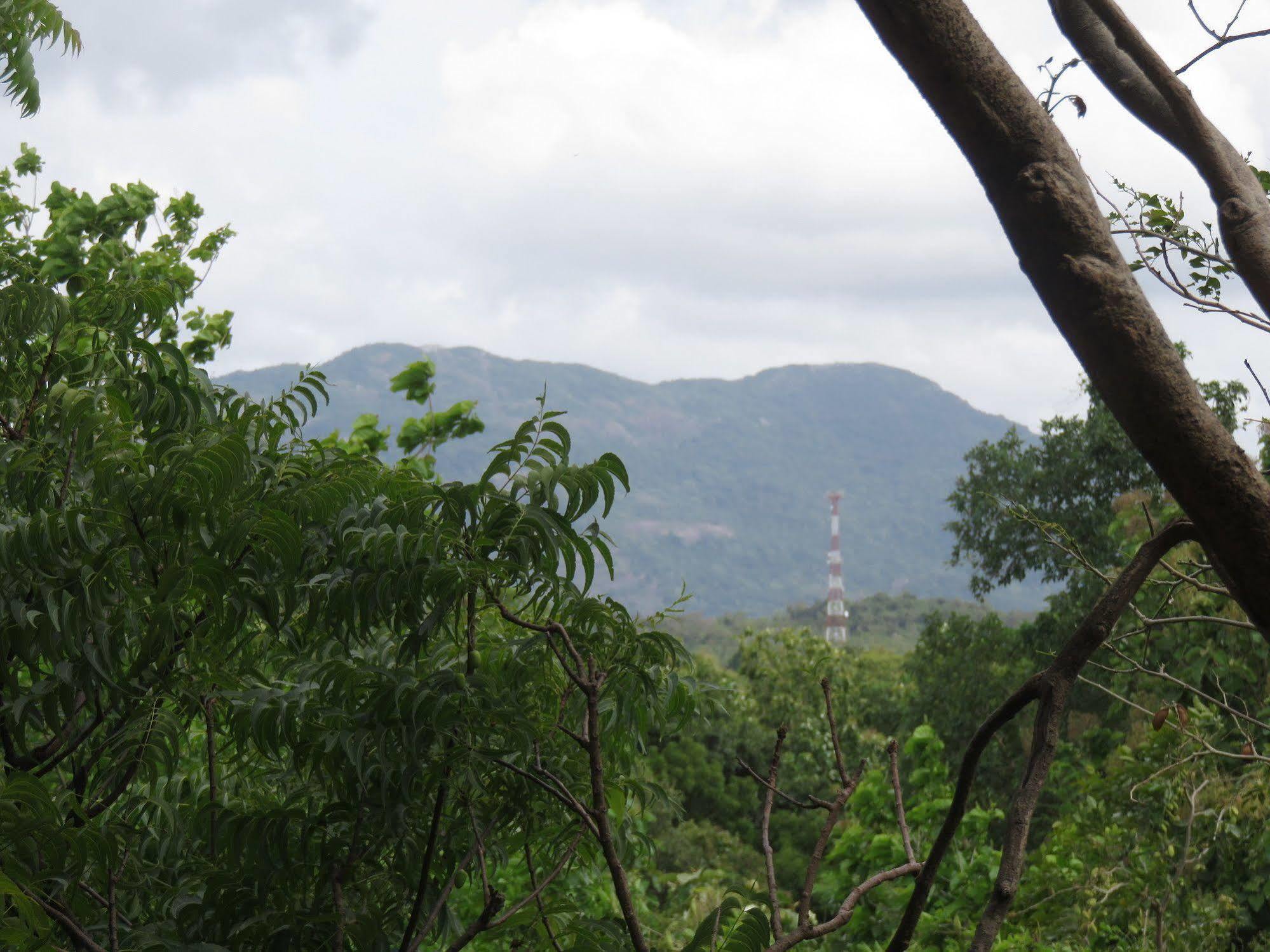 Nice Place Resort Dambulla Luaran gambar