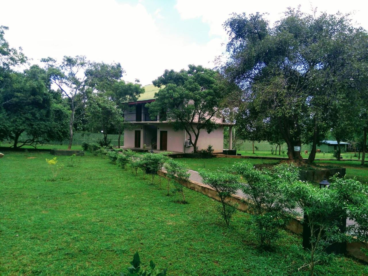 Nice Place Resort Dambulla Luaran gambar